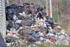 Example of trashy yard